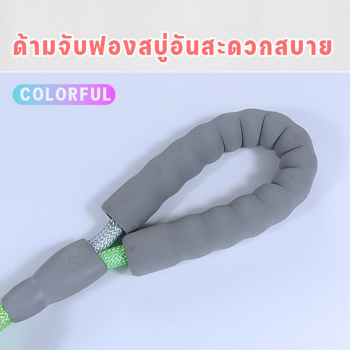 สายจูงสัตว์เลี้ยง สายจูงสุนัข และปลอกคอแมวสีไล่ระดับ