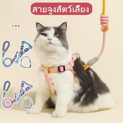 สายจูงสัตว์เลี้ยง สายจูงสุนัข และปลอกคอแมวสีไล่ระดับ