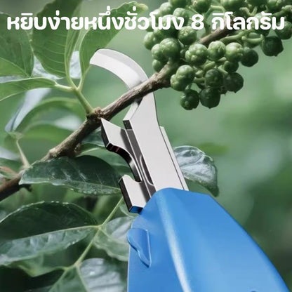 กรรไกรตัดผลไม้ 3in1, มีดสำหรับต่อกิ่ง, กรรไกรตัดแต่งสวนแบบมือถือ