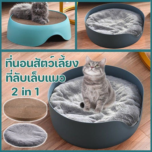 Cat scratching post, cat toy.