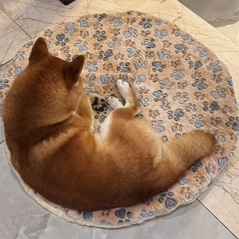 宠物窝垫，猫咪毛毯，柔软猫床，宠物垫，柔软珊瑚绒，加厚多尺寸