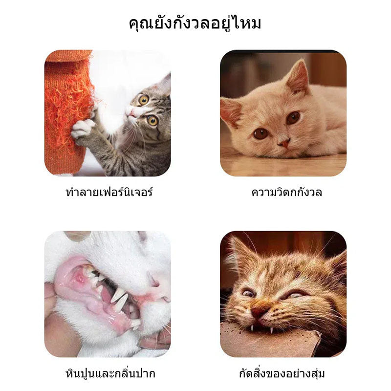 คริสต์มา ของเล่นแมว 13/16/23 PCS สลูกบอลแมว ของเล่นอุปกรณ์เสริม ของเล่นสัตว์เลี้ยงโต้ตอบ ให้แมวผ่อนคลาย