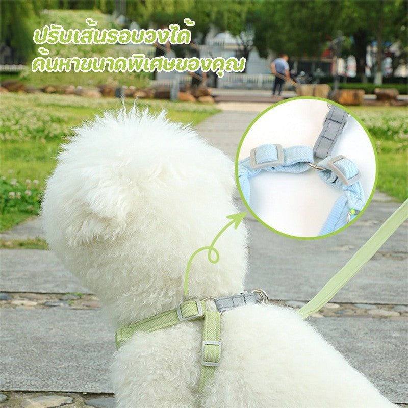 รัดอกสัตว์เลี้ยง สายจูงสุนัข สายจูงแมว  สายจูงสุนัข พันธุ์กลาง-ใหญ่  หลายสี ทนทาน