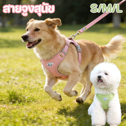 รัดอกสัตว์เลี้ยง สายจูงสุนัข สายจูงแมว  สายจูงสุนัข พันธุ์กลาง-ใหญ่  หลายสี ทนทาน