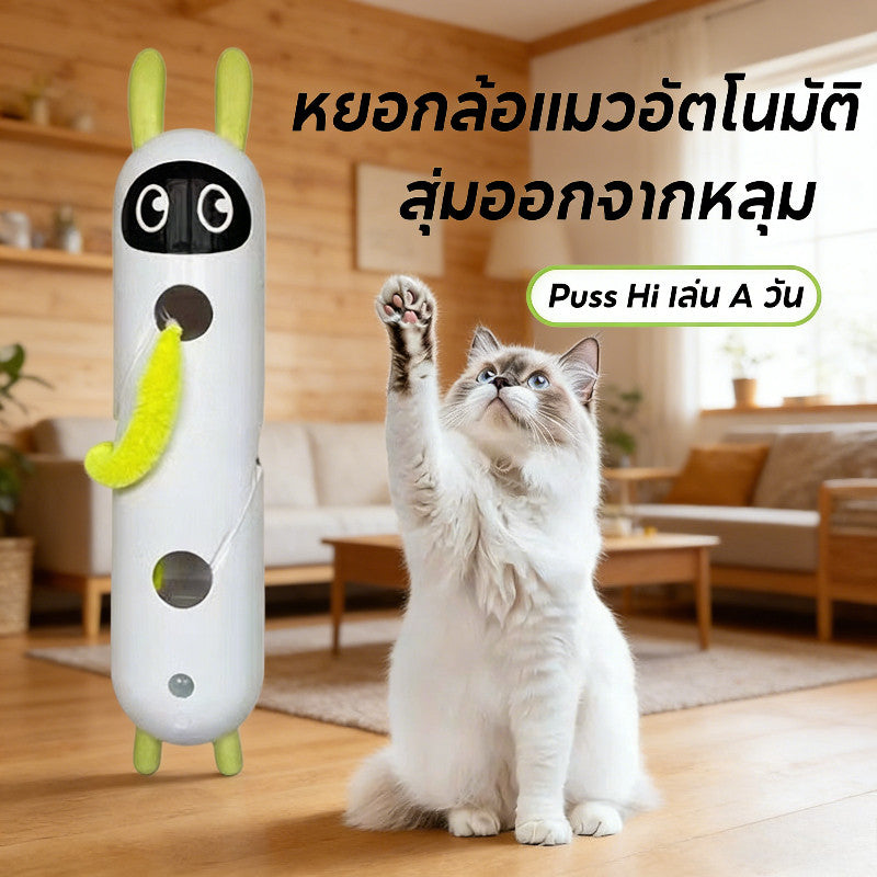 Interactive Cat Toy, Motion Activated Wack-A-Worm Post Toy, Automatic Rechargeable Teasing Tail Cat Toy for Cats