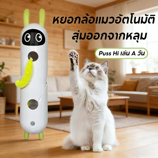 Interactive Cat Toy, Motion Activated Wack-A-Worm Post Toy, Automatic Rechargeable Teasing Tail Cat Toy for Cats