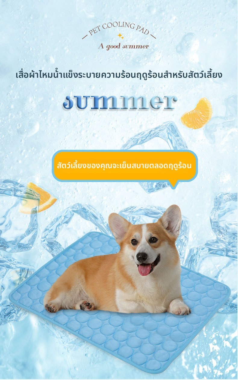 Cooling mat for pets, dogs, and cats, perfect for summer.