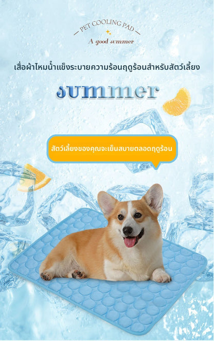 Cooling mat for pets, dogs, and cats, perfect for summer.
